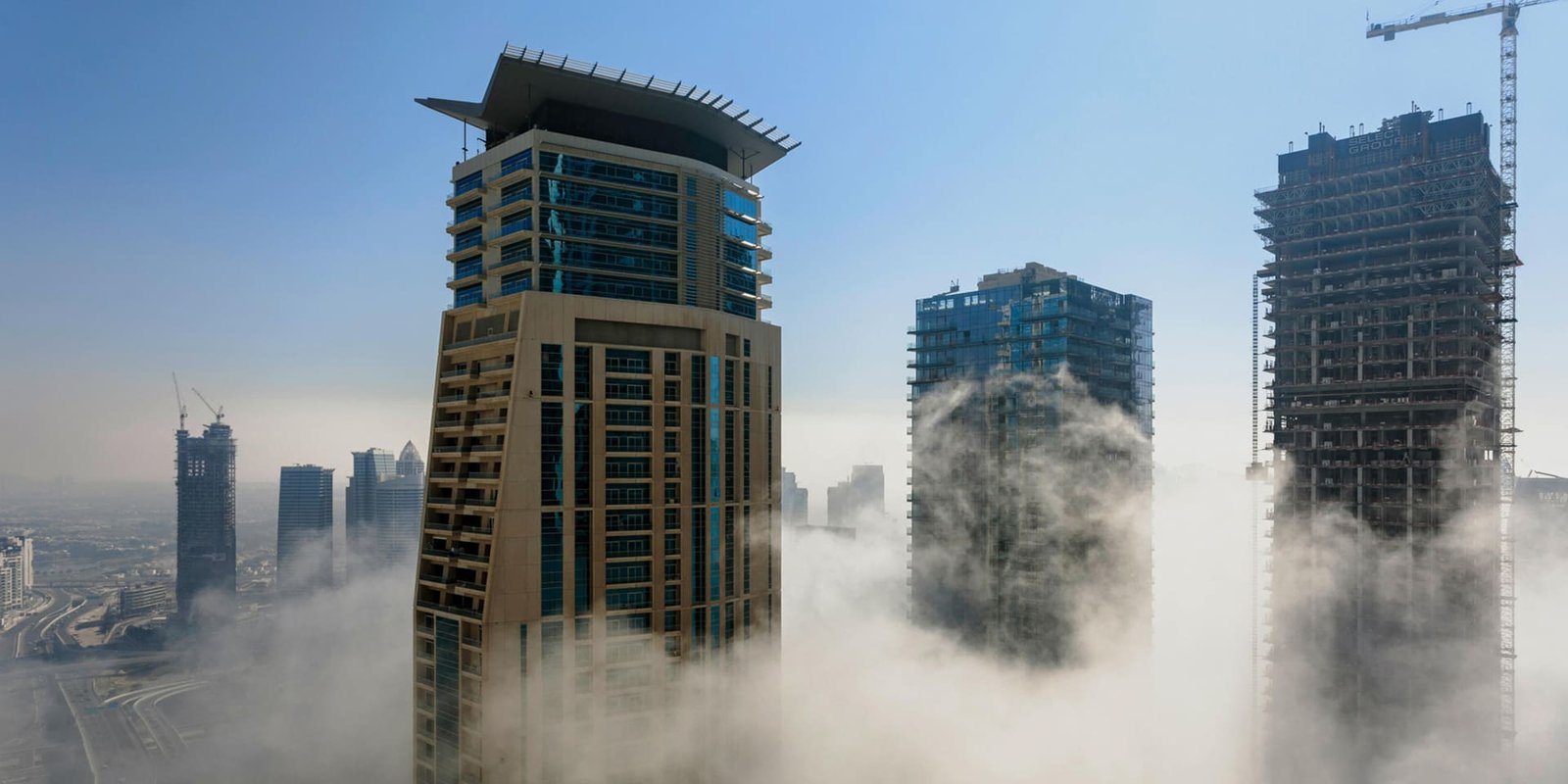 Gardens & Palm Tree Supply